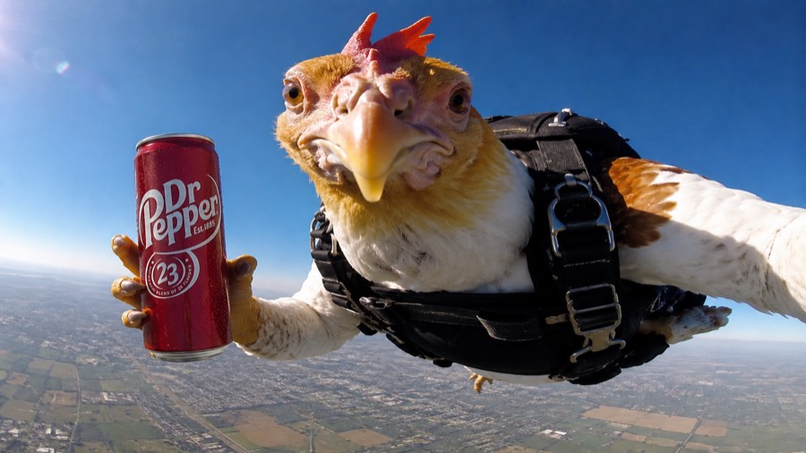 Pollo en caída libre con lata